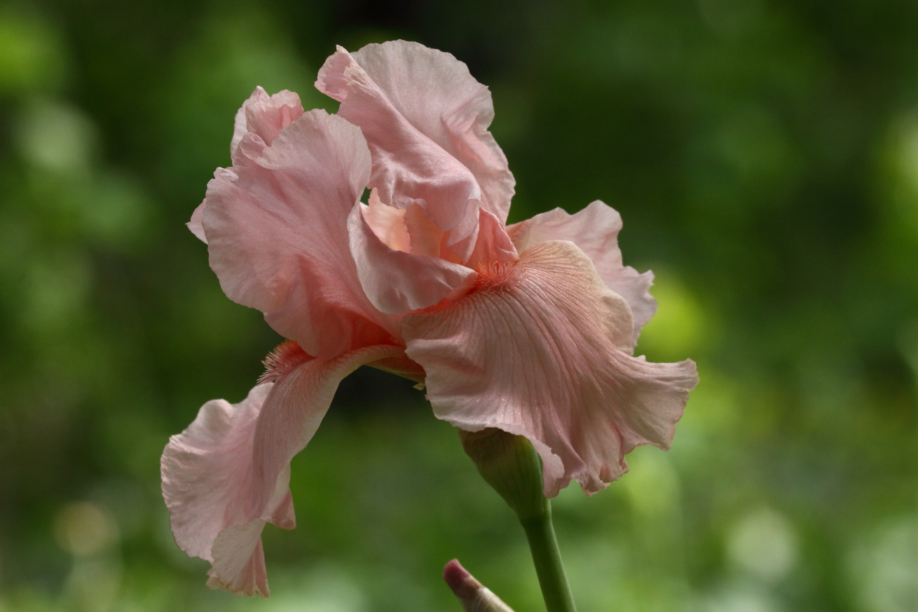 2015 05 20 HTP 000057547e
